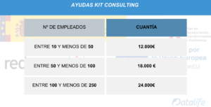 Cuantia-bono-Kit-Consulting-Datalife-Tryton-erp