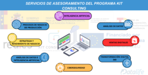 servicios de asesoramiento - Kit Consulting Datalife - TRYTON ERP